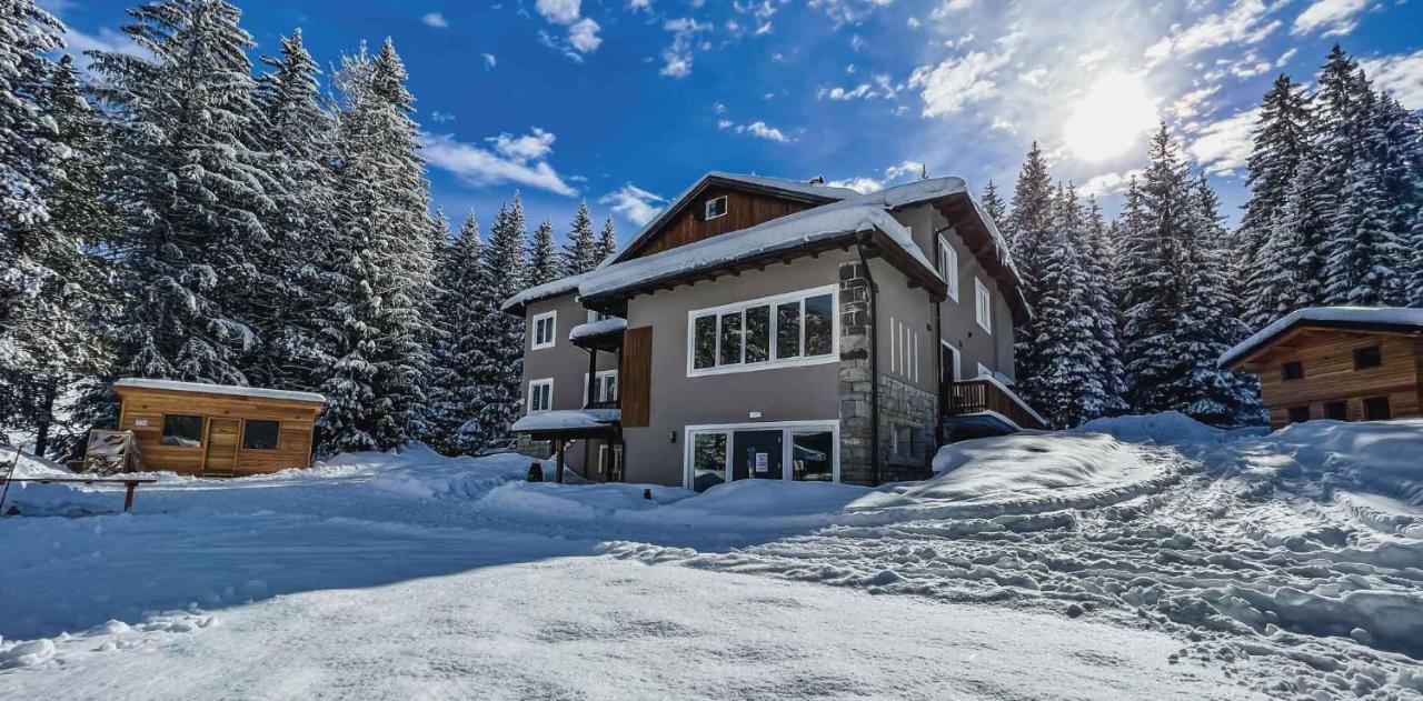 Hotel Chalet Queen 2*