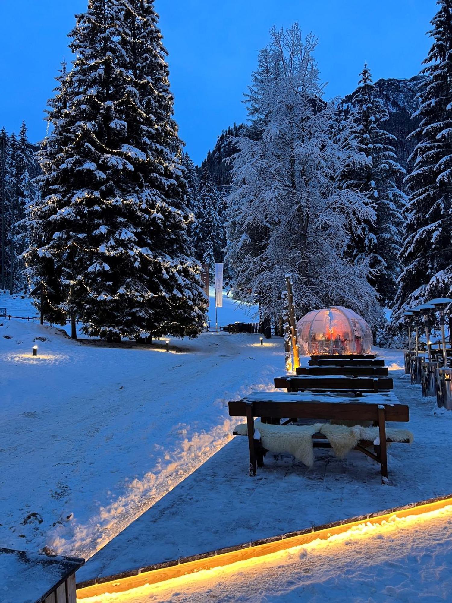 Chalet Queen Canazei